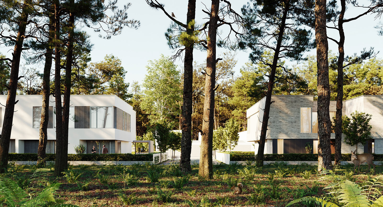 Pine Garden