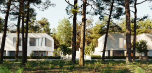 Pine Garden