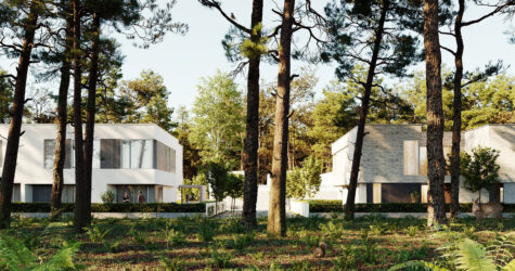Pine Garden